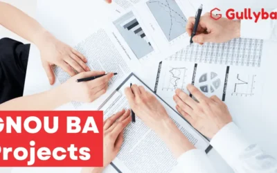 IGNOU BA AHE-01 Projects: Ready-made or Customized