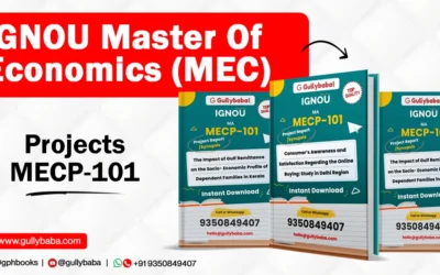 IGNOU Master of Economics (MEC) Projects (MECP-101)