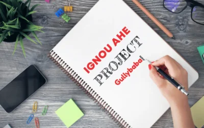 IGNOU BA AHE-01 Projects