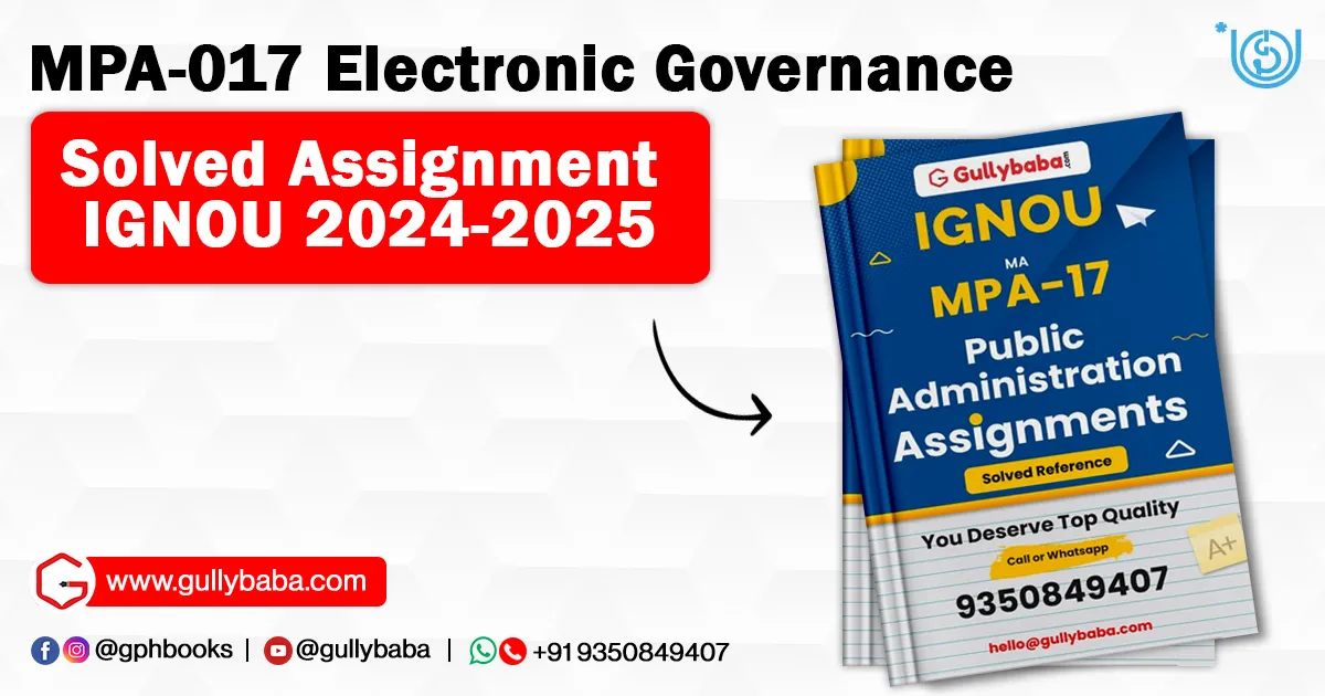 MPA-017 Electronic Governance
