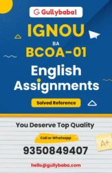 Assignment-BCOA-01