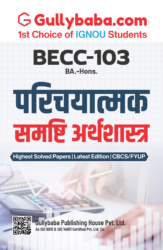 Introductory Macroeconomics - Hindi