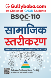 Social Stratification - Hindi