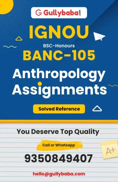 Assignment-BANC-105