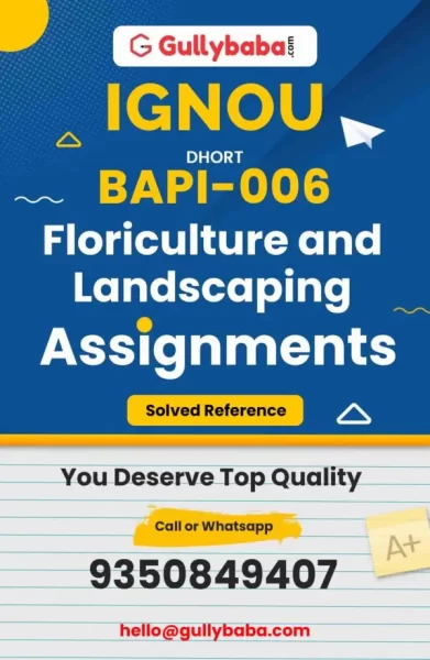 IGNOU BAPI-06 Solved Assignment