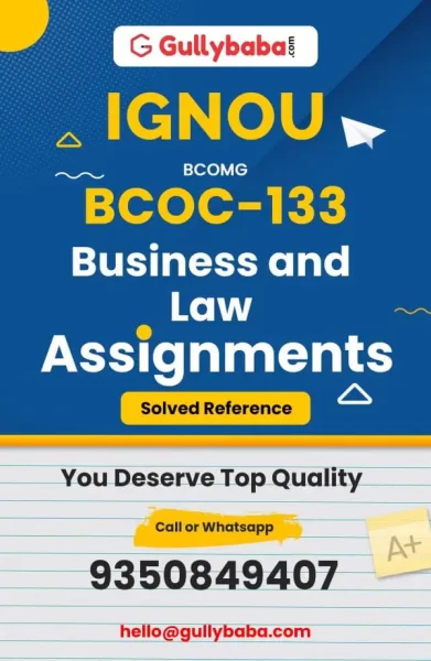 Assignment-BCOC-133