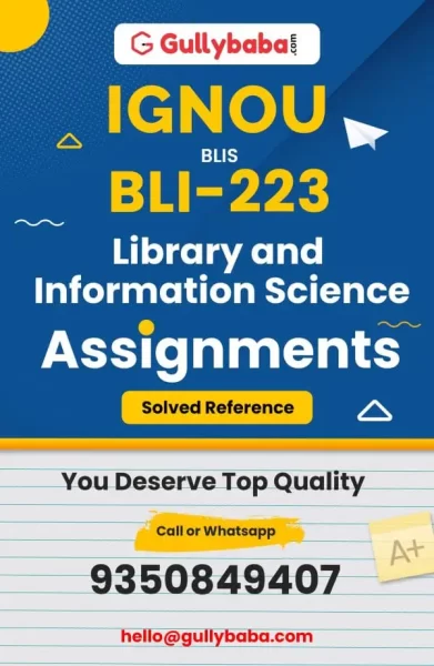 Assignment-BLI-223-min