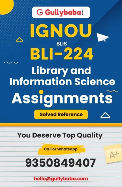Assignment-BLI-224-min