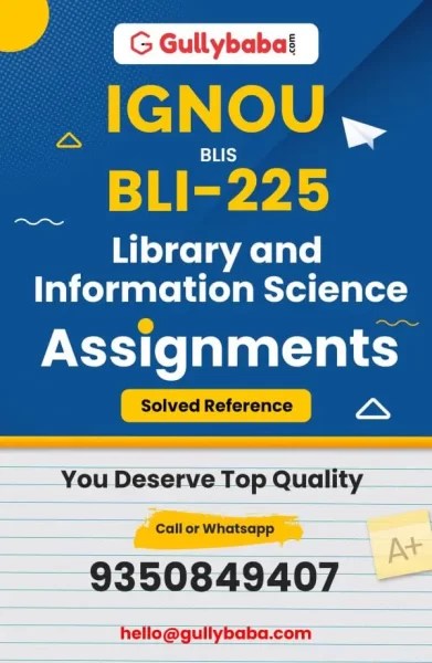 Assignment-BLI-225-min