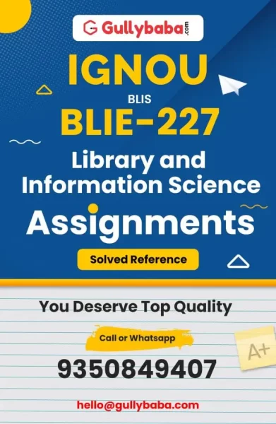 Assignment-BLIE-227-min