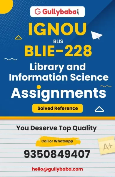 Assignment-BLIE-228-min