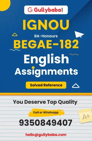 Assignment-Begae-182