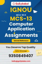 Assignment-MCS-13-min