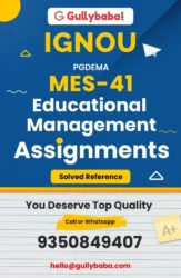 Assignment-MES-41