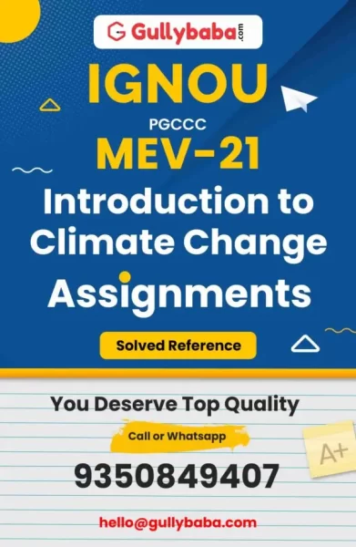 Assignment-MEV-21-min