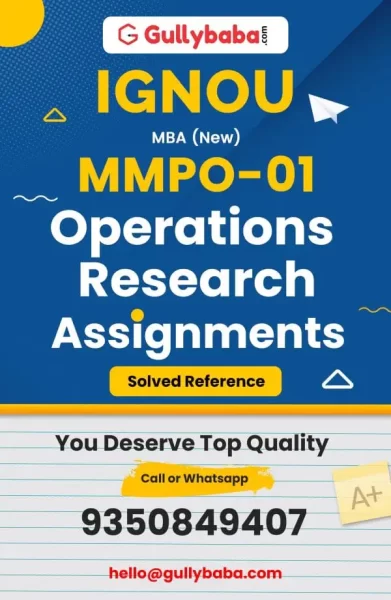 Assignment-MMPO-01-min