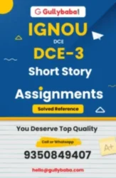 DCE-3 Short Story
