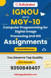 Computer Programming for Digital Image Processing and GIS