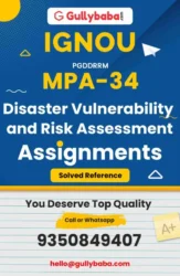 Disaster Vulnerability and Risk Assessment