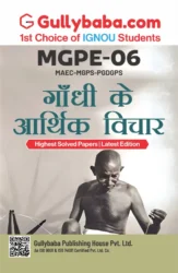 Gandhi's Economic Thought