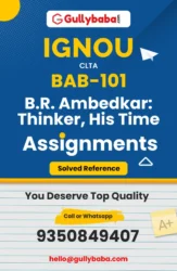 BAB-101: B.R. Ambedkar: Thinker, His Time