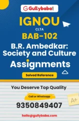 B.R. Ambedkar: Society and Culture