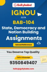 BAB-104 : State, Democracy and Nation Building