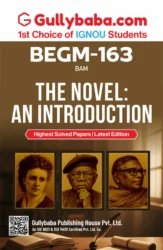 The Novel: An Introduction