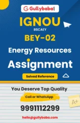 Energy Resources