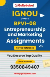 BPVI-08: Entrepreneurship and Marketing