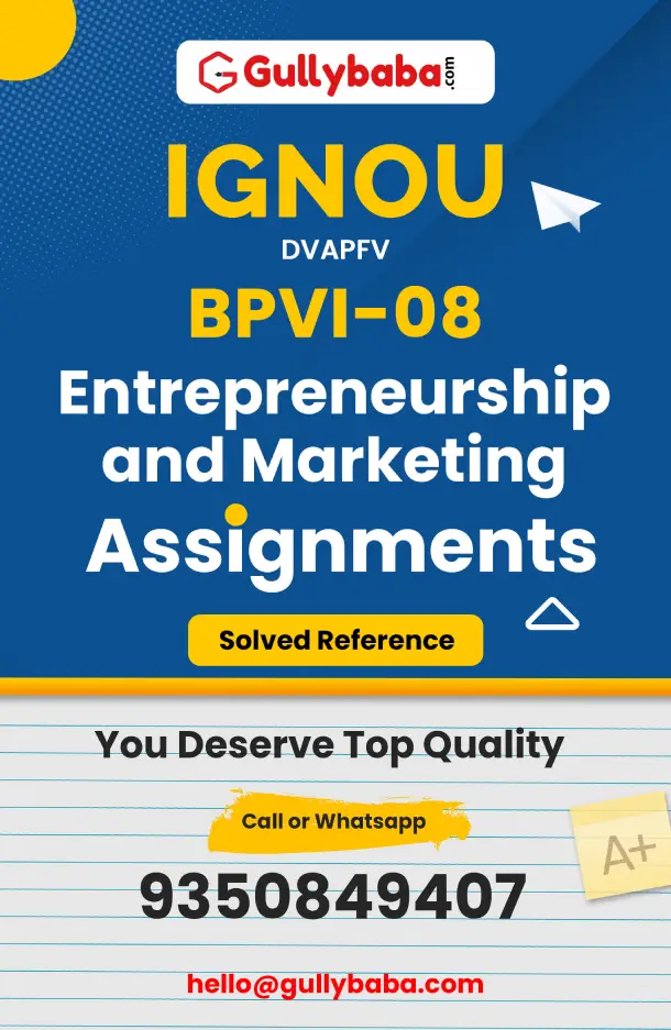 BPVI-08: Entrepreneurship and Marketing