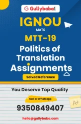 MTT-19 : Politics of Translation