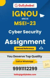 MSEI-23: Cyber Security