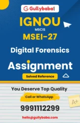 MSEI-27: Digital Forensics