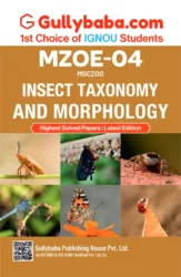 Insect Taxonomy and Morphology