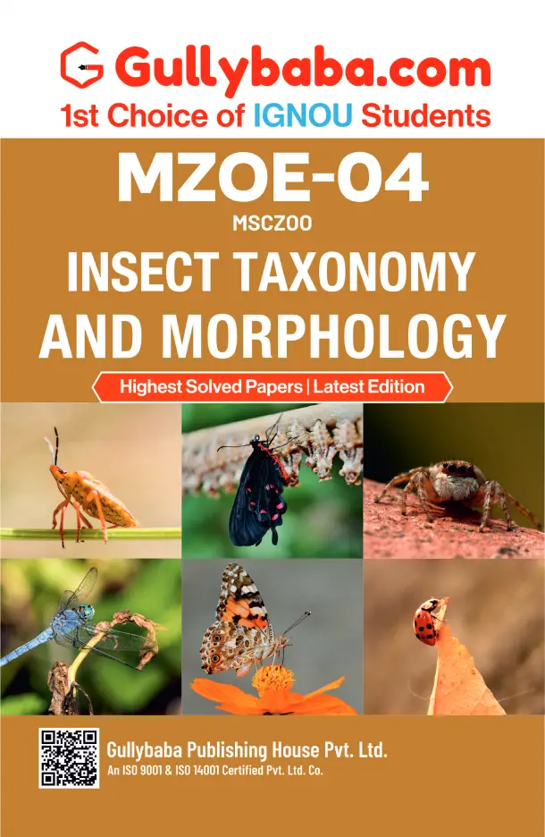 Insect Taxonomy and Morphology