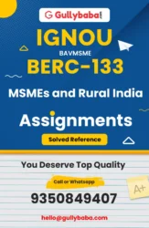 BERC-133 : MSMEs and Rural India