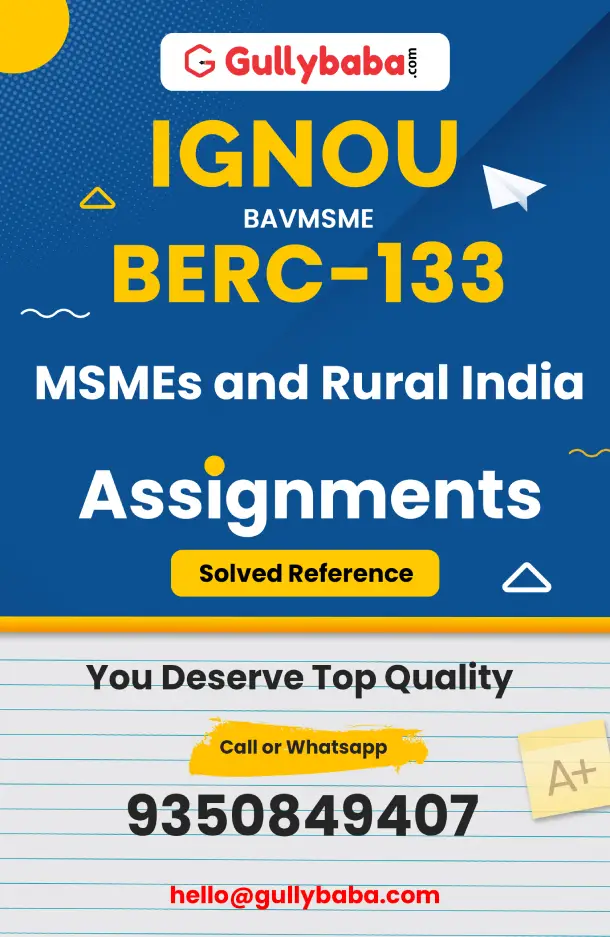 BERC-133 : MSMEs and Rural India