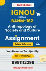 Anthropology of Society and Culture
