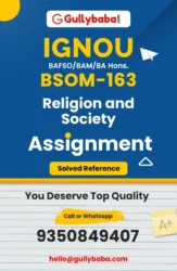 BSOM-163 : Religion and Society