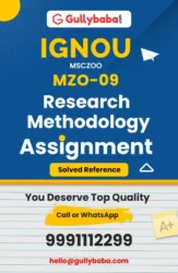 MZO-09 : Research Methodology