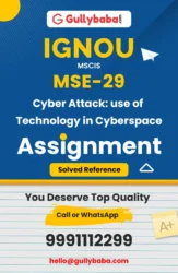 MSE-29: Cyber Attack: Use of Technology in Cyberspace