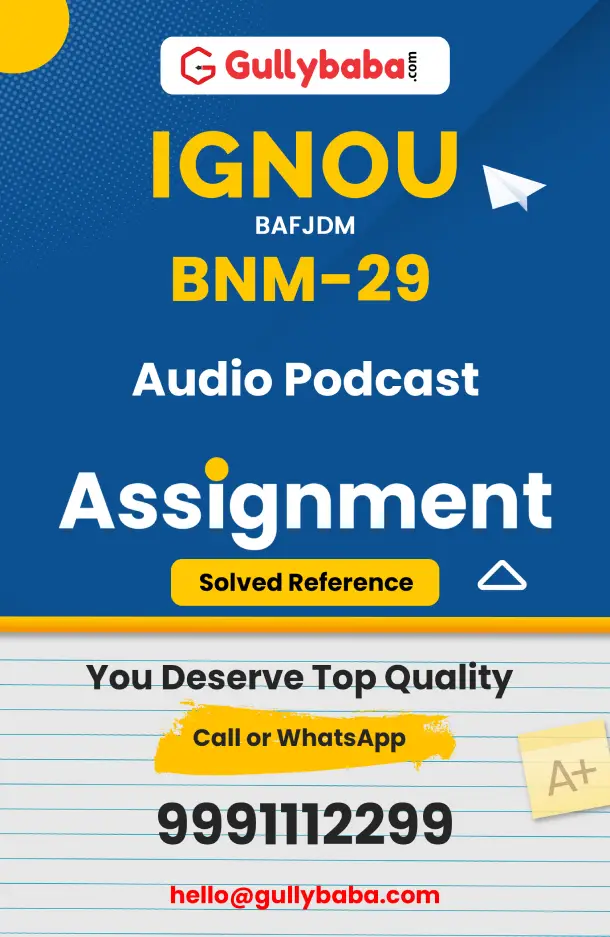 BNM-29: Audio Podcast